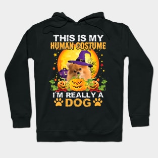 This Is My Human Costume I'm Really A Dog Pomeranian Hoodie